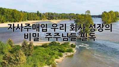 자사주매입, 우리 회사 성장의 비밀? 🤔 주주님들 필독!