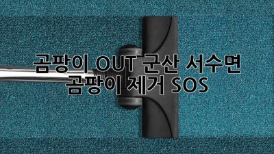 😱 곰팡이 OUT! 군산 서수면 곰팡이 제거 SOS 🚨