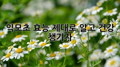 익모초 효능, 제대로 알고 건강 챙기자!